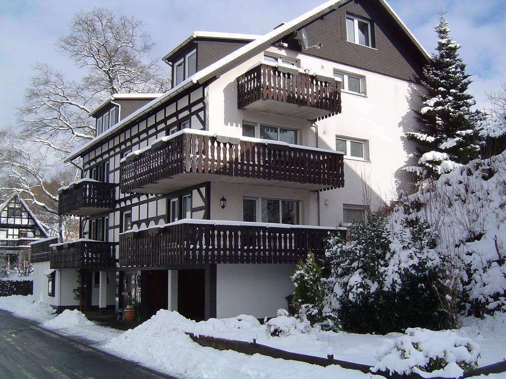Ferienhaus Hedrich Assinghausen Экстерьер фото