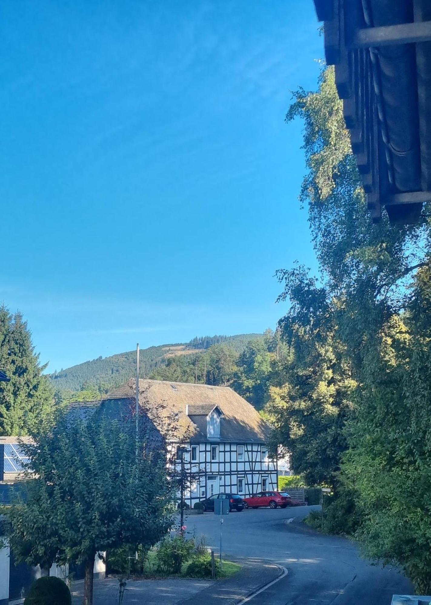 Ferienhaus Hedrich Assinghausen Экстерьер фото