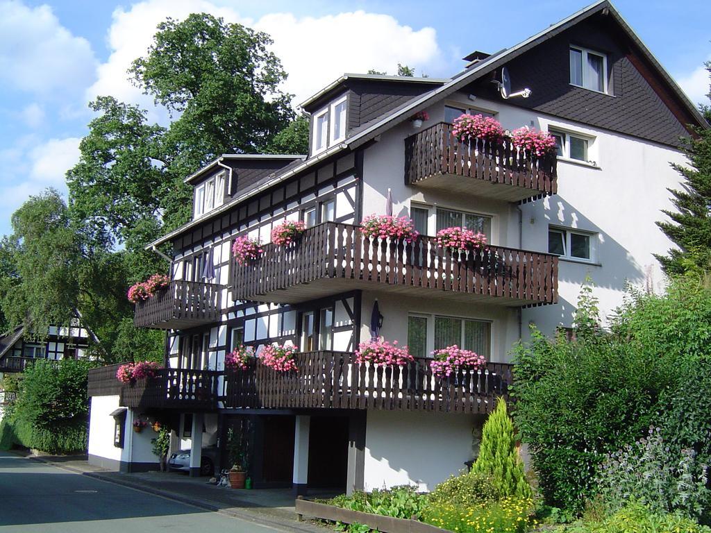 Ferienhaus Hedrich Assinghausen Экстерьер фото